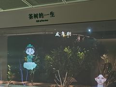 -中国茶叶博物馆(双峰馆区)