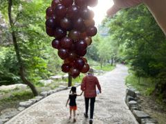-十渡东湖港风景区