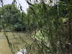 -张鸟园农家乐(张鸟园店)