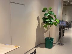 -卡朋西餐(悦汇城店)