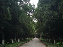 -灵谷景区