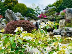 -东莞植物园