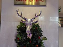 -长白山国际酒店中餐厅
