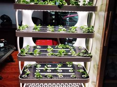 -福禄财东北菜(珠江帝景店)