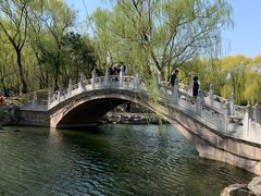 -圆明园停车场