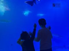 -泉城欧乐堡海洋极地世界