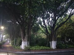 -胡里山炮台