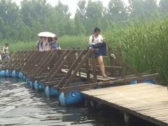 -溱湖国家湿地公园