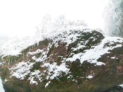 -龙苍沟森林公园