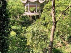 -雁荡山风景名胜区