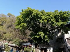 -广州市紫泥堂文化创意园景区
