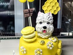 -帕帕拉兹宠物(亚洲旗舰店)