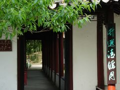 -水绘园