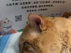 -守诺宠物医院·眼科· 神经外科·爬宠专科(虹口店)