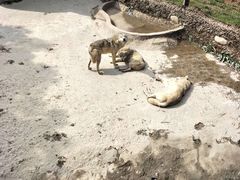 -南昌动物园