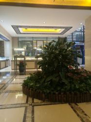 -中国黄金(北京旗舰店)