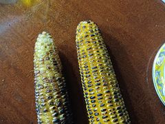 -老味道1992(武当山店)