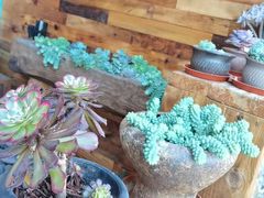 -普洱小黄牛餐厅铜火锅·思茅地方菜(世纪城店)