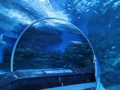 -海合安成都极地海洋公园