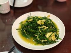 -范记靖远羊羔肉(博物馆店)