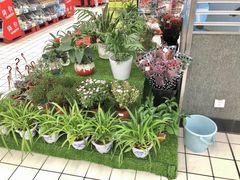 -大润发(浒关店)