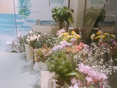 -蝶舍·MAISON PAPILLON