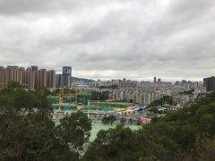 -金鸡山公园
