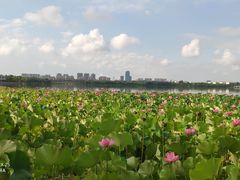 -石湖景区