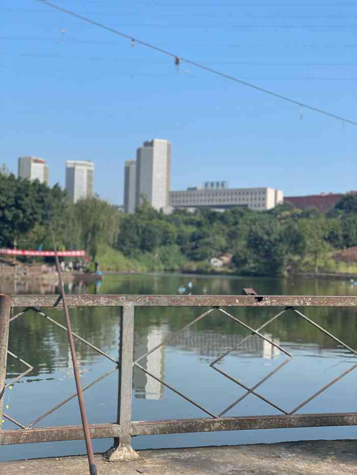 竹林公园垂钓园-"慢下来,去生活.钓鱼是一件非常修身养性的.