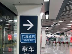 -临平南高铁站(地铁站)