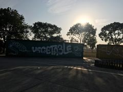 -上海都市菜园