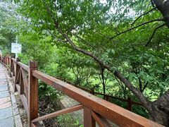 -大岭沟猕猴桃谷风景区