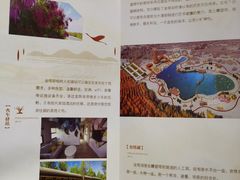 -金塔沙漠胡杨林景区