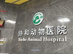 -瑞鹏瑞爱宠物医院·全科·猫科·血液透析中心(龙头寺店)