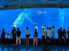-海合安成都极地海洋公园