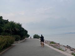 -深圳湾公园(南山区)