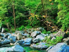 -石台牯牛降景区