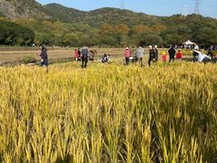 -八卦田遗址公园