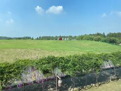 -嘉兴清池酒店温泉