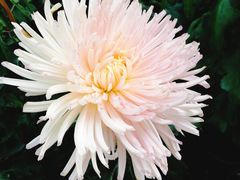 -上海市龙华烈士陵园