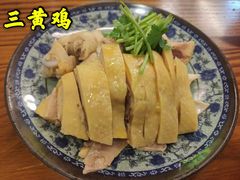 -九斤黄三黄鸡专卖店