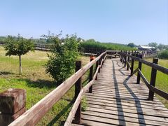 -西青郊野公园