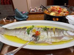 -鲁宴·鲁煨黄河生态大鲤鱼(月坛店)