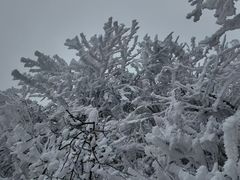 -安吉龙王山风景区