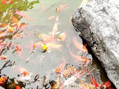 -东方艺术博物馆