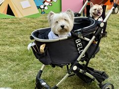 -上海神旺大酒店