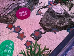 -沈阳海洋探索中心