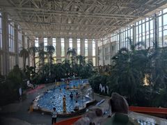 -中家鑫园温泉酒店鑫悦汤泉