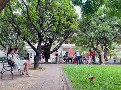 -吐斯廉屠杀博物馆