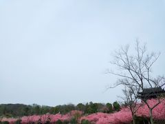 -南山风景名胜区